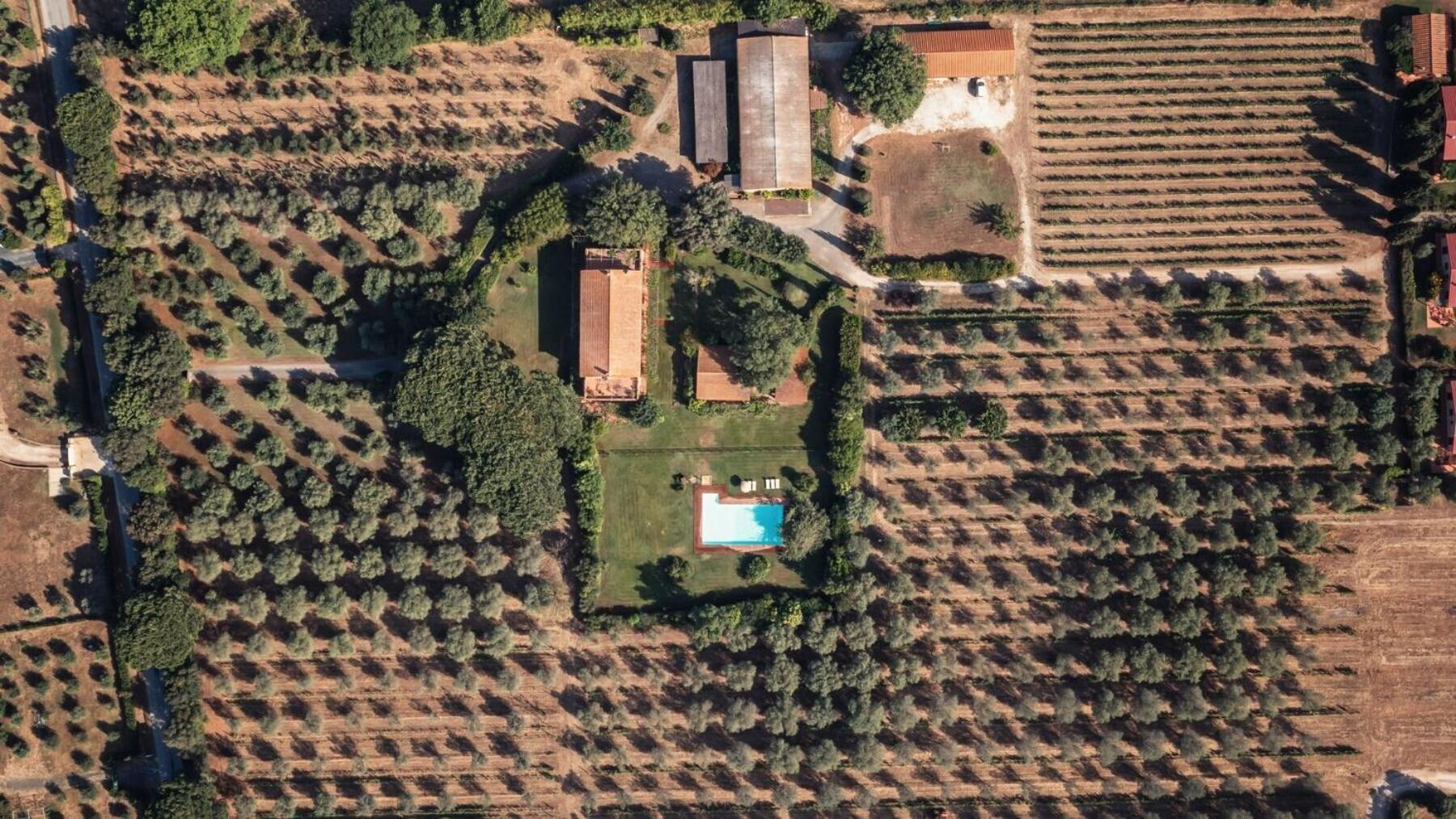Bb Villa Bolgheri Mare Donoratico Exterior photo